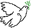 peace dove