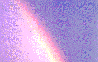 rainbow photo
