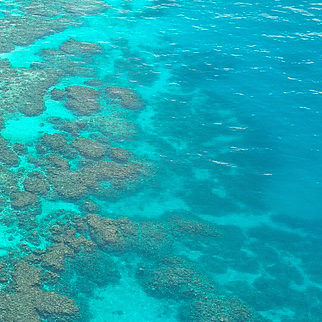 great barrier reef