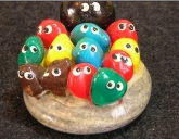 pet rocks