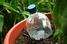water bottle irrigation container gardening