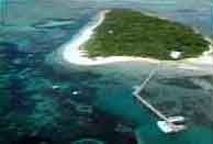 the great reef image