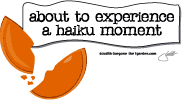 haiku t shirt products