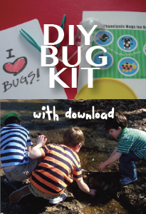 Planetpals Craft Page: Make recycle bug jar and bug kit, butterfly